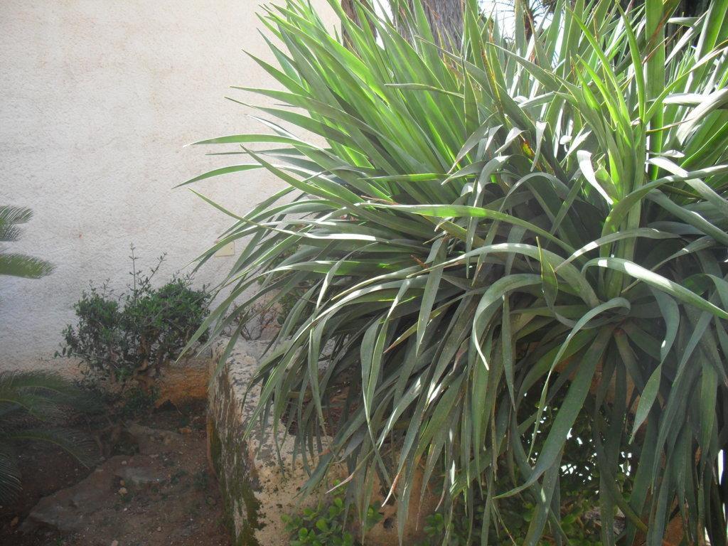 Casa Petros Apartamento Marsala Exterior foto
